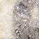 Blue Lace Agate / Worn Silv