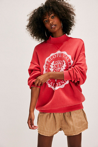 Diana Sweatshirt at Free People in Red Combo, Size: Small