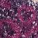 Blackberry Wine Combo