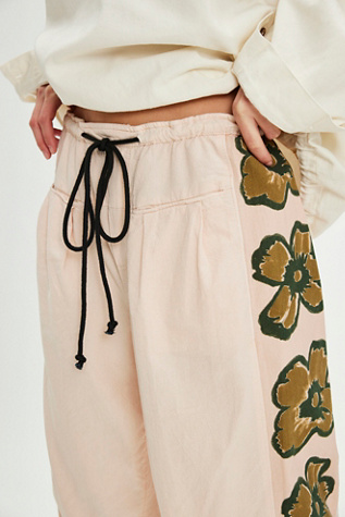 Hudson Canyon Side Printed Pants at Free People in Floral, Size: XS