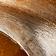 Tiger's Eye