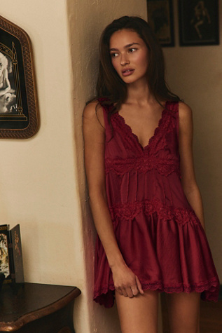 tiger mist mesh dress CHRISTY LACE L/S MAXI DRESS