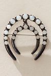 Horsing Around Brooch