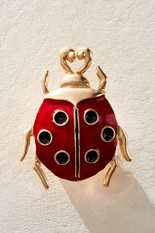 Animal Behavior Brooch At Free People In Ladybug