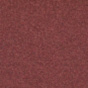 Rodeo Red