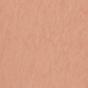 Cantaloupe