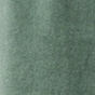 Spirulina