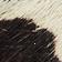 Cow Hair On