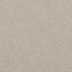 Wet Plaster