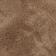 Daim Taupe
