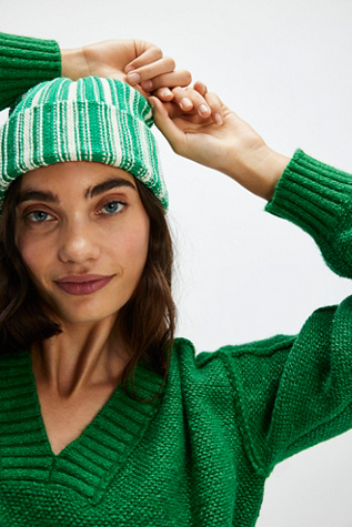 Desert Stripe Beanie