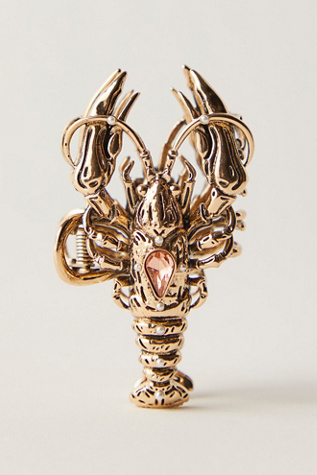 Modern Metal Claw Clip At Free People In Lobster