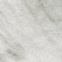 White Alyssum