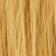 Dried Palm
