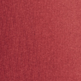 Winterberry