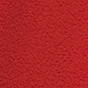 Winterberry