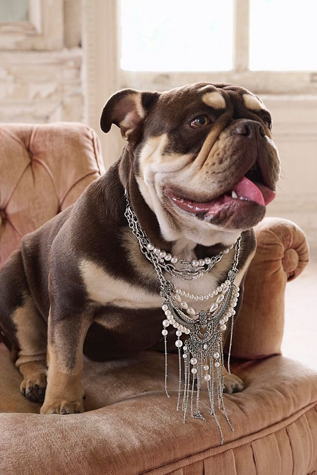 Pearl Pressure Mega Layer Necklace #1