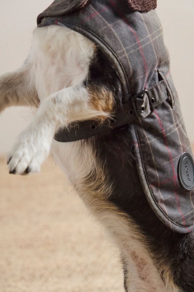 Barbour Wax Dog Coat #5