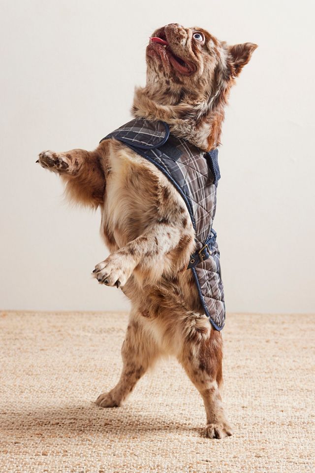 Barbour Tartan Dog Coat #5