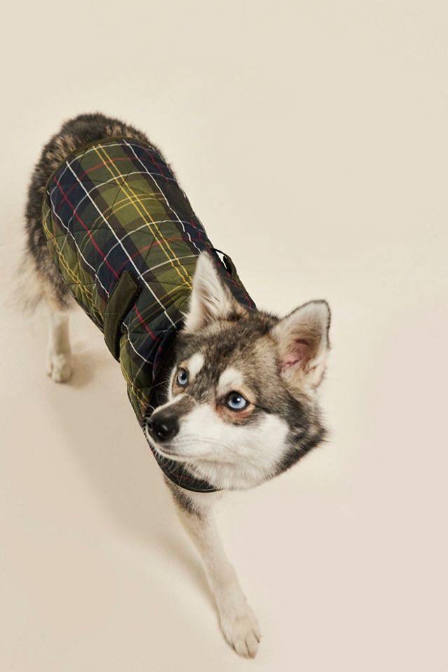 Barbour tartan dog coat best sale