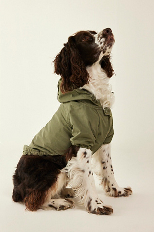 Brooklyn Packable Dog Jacket By Lambwolf At Free People In Khaki Green, Size: Small