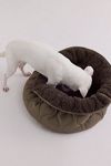 Taart Reversible Donut Bed