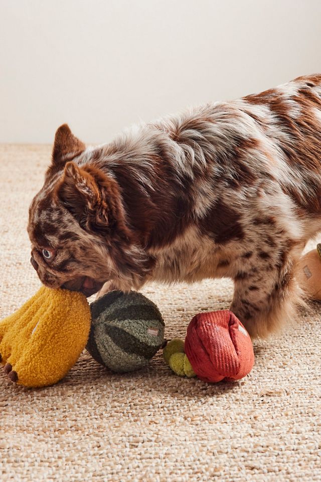 Fruit Set Of Toys #3