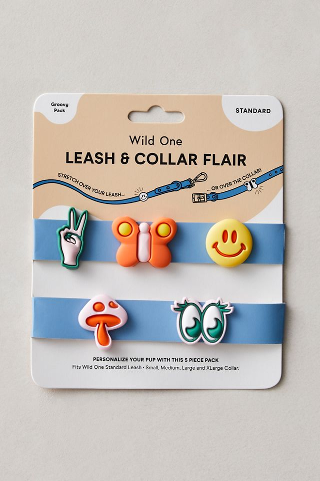 Wild One Leash & Collar Flair #1