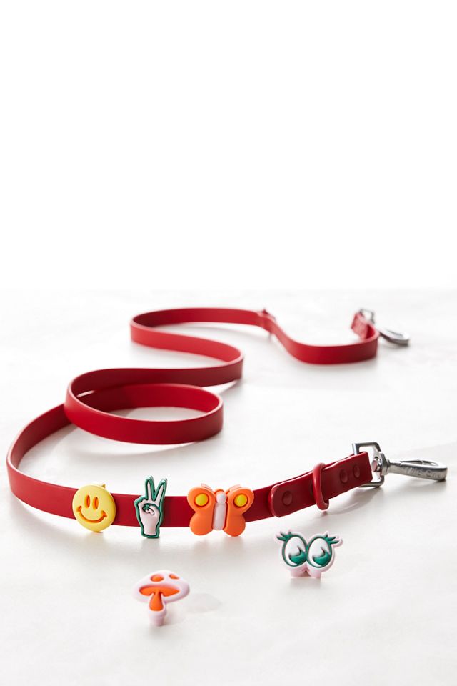 Wild One Leash & Collar Flair #2