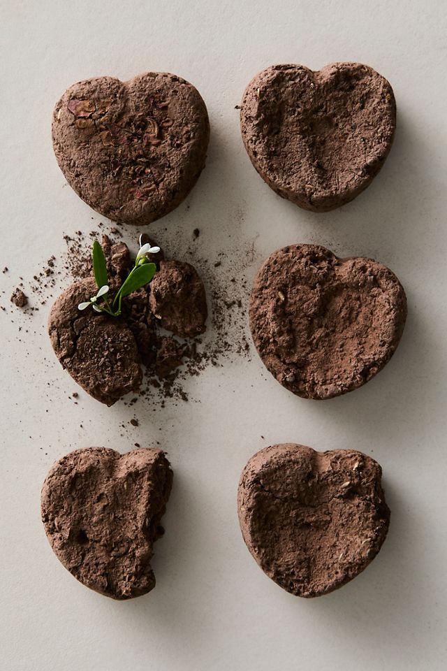 Love Seed Bombs #1