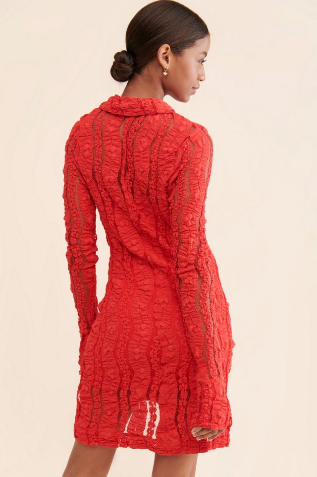 Shayla Lace Mini Dress #1