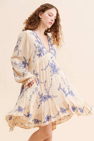 Estella Embroidered Mini Dress