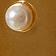 Pearl / Gold
