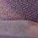 Greyish Purple / Coral Reef