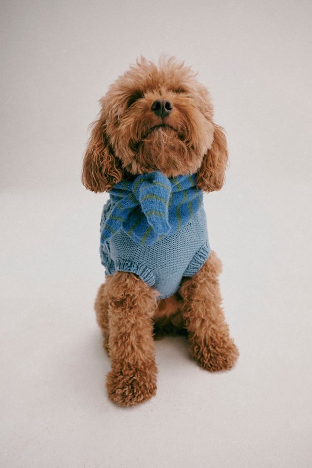Cable Knit Dog Sweater #1