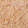 Canyon Coral / Celery Yellow