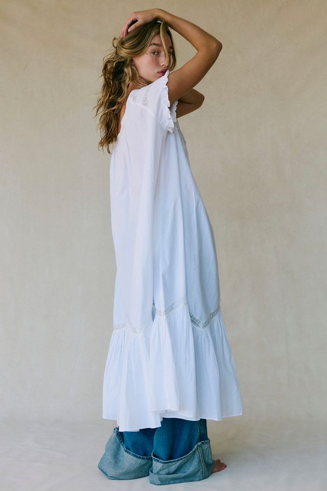 Aster Midi