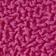 Pink Flame