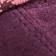 Fig / Lilas
