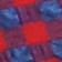 Red / Blue Gingham