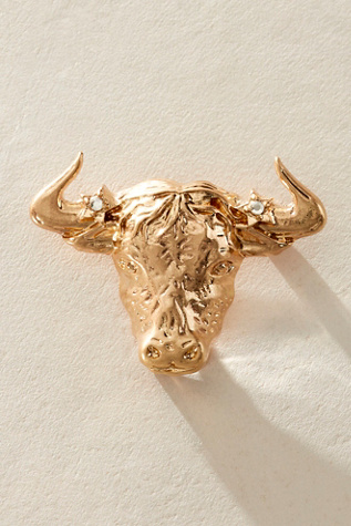 Zodiac Brooch At Free People In Taurus