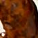 Tiger's Eye / Gold