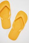 Havaianas Top Classic Flip Flops