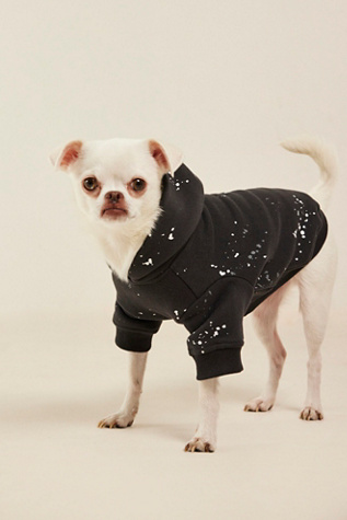 Ziggy Splatter Dog Hoodie By FURB At Free People In Charcoal, Size: XS