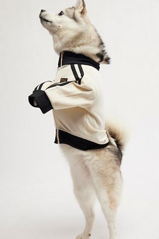 Veste de survêtement pour chien Team Captain