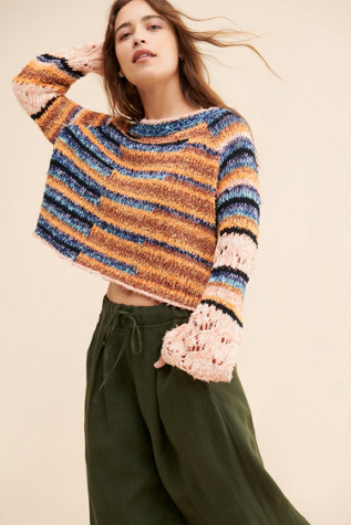 Aster Midi