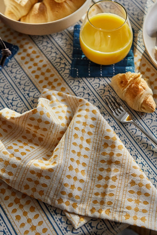 Anchal Graphic Block Print Napkins - Set of 2