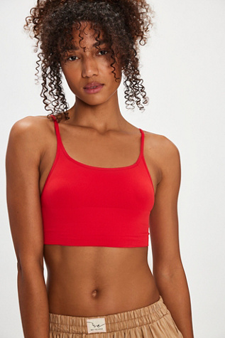 Andi Seamless Bralette By Intimately At Free People In High Risk Red, Size: XS/S