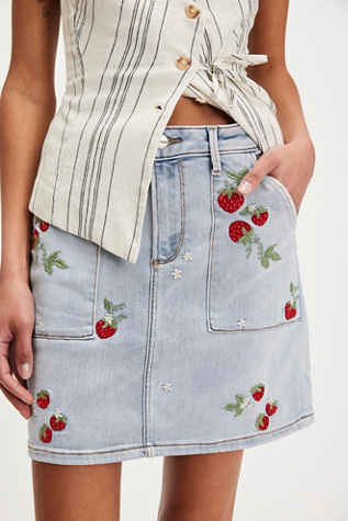 Driftwood Embroidered Mini Skirt at Free People in Light Strawberry Fields, Size: 26