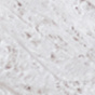 Clean Ivory